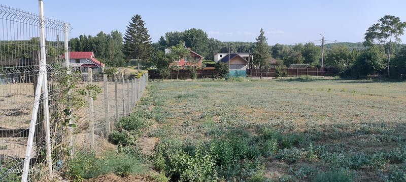 Teren de inchiriat 2200 m, Com. Borcea (CL), termen lung, intravilan.